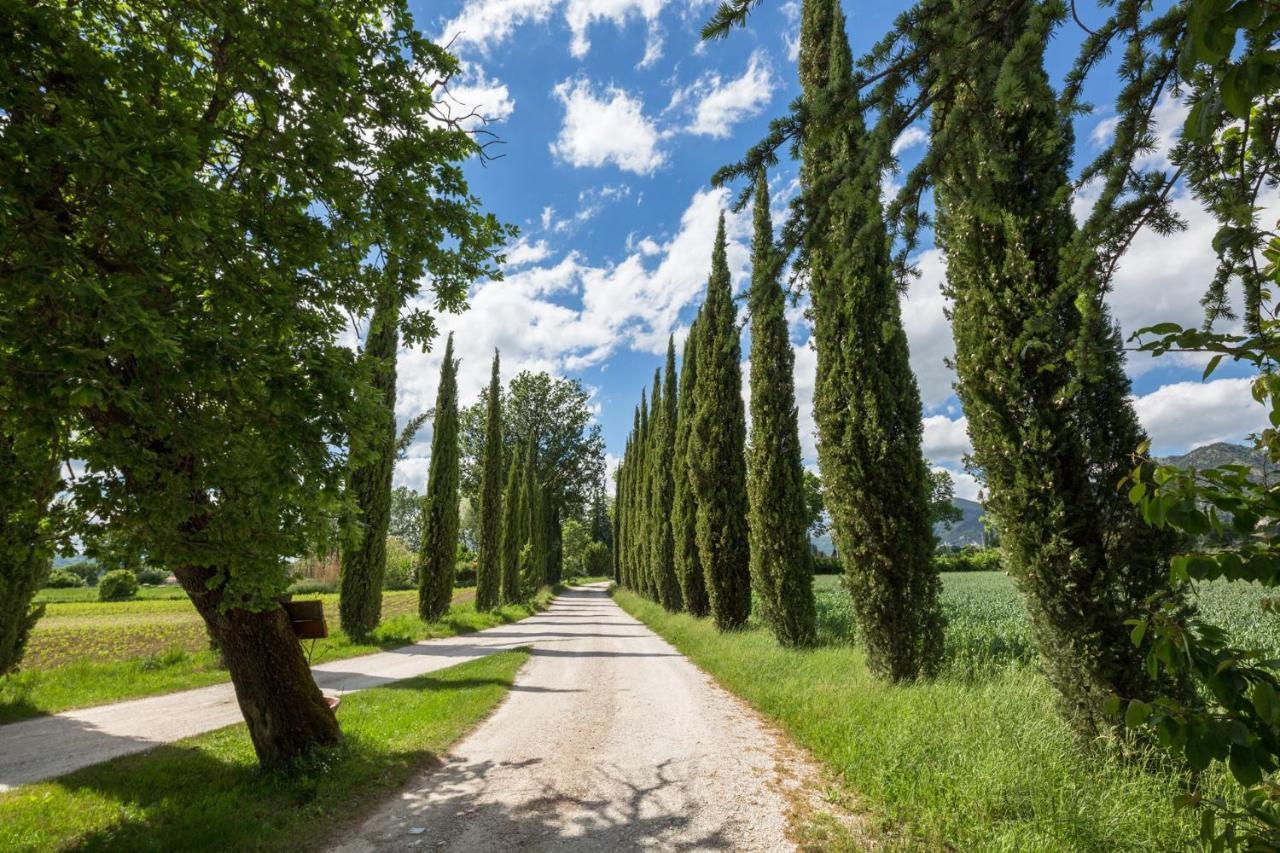 Agriturismo Casella Del Piano Γκούμπιο Εξωτερικό φωτογραφία