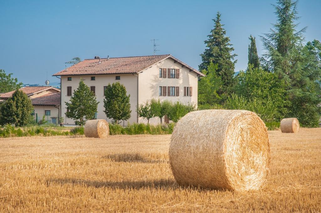 Agriturismo Casella Del Piano Γκούμπιο Εξωτερικό φωτογραφία